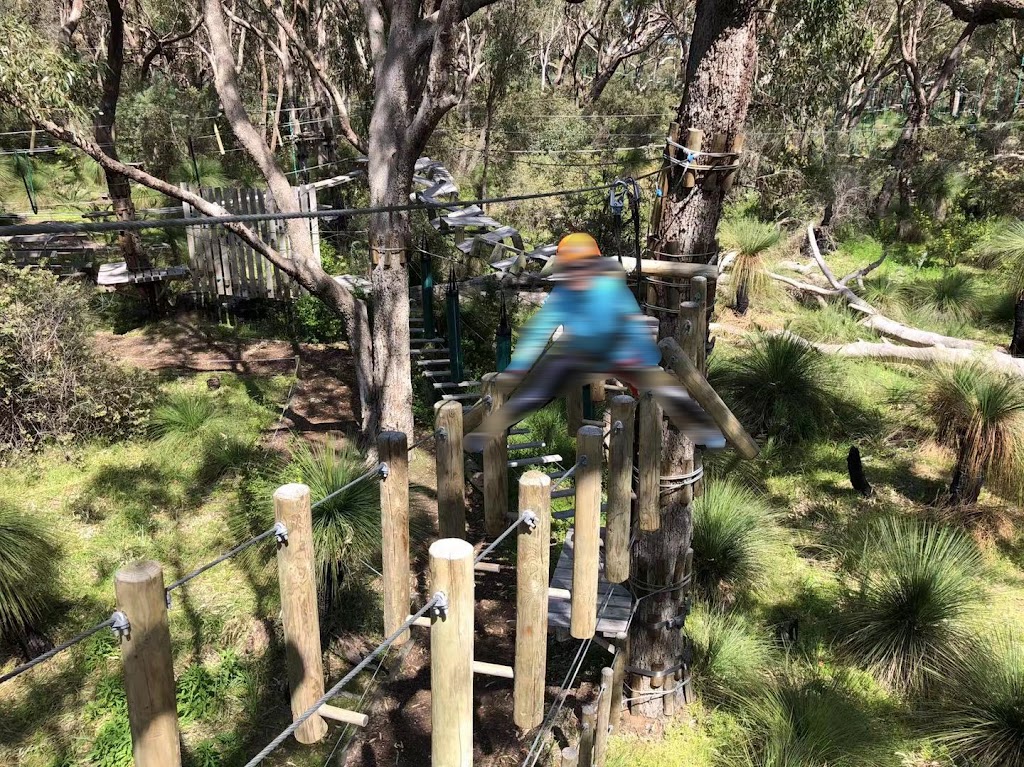 Treetops Adventure Yanchep | Yanchep National Park, Ghost House Rd, Yanchep WA 6035, Australia | Phone: 0455 421 312