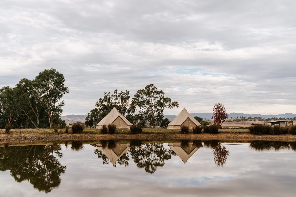 Mansfield Glamping | 299 Rifle Butts Rd, Mansfield VIC 3722, Australia | Phone: 0488 396 263