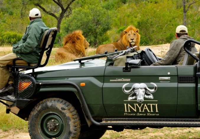 Nyati Africa Safari | Olley Ct, Brookfield QLD 4069, Australia | Phone: 0417 071 093