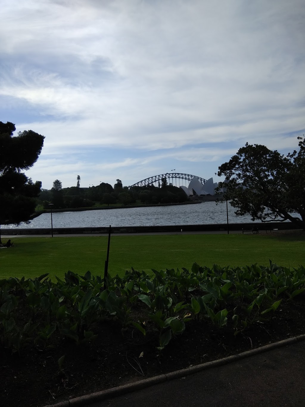 Amphitheater Lawn | Mrs Macquaries Rd, Sydney NSW 2000, Australia | Phone: (02) 9231 8111