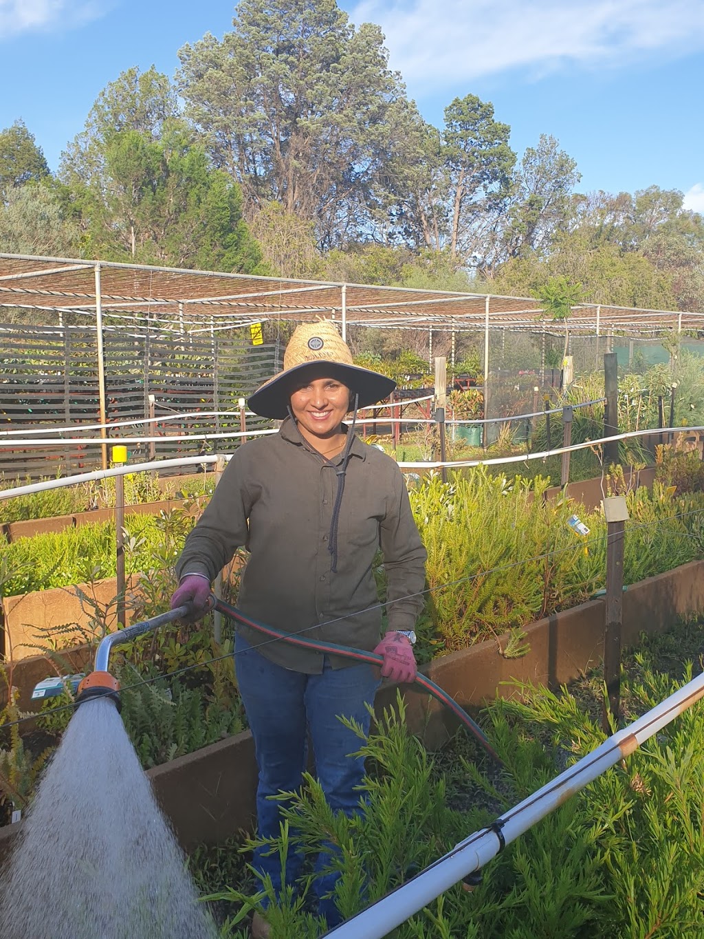 growAbility Nursery, Milduras social enterprise nursery | 363 Cureton Ave, Mildura VIC 3500, Australia | Phone: (03) 5021 4117