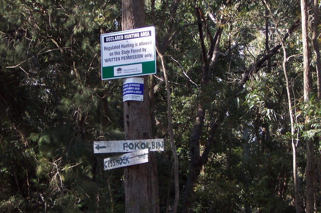 Pokolbin State Forest | park | Cedar Creek NSW 2325, Australia