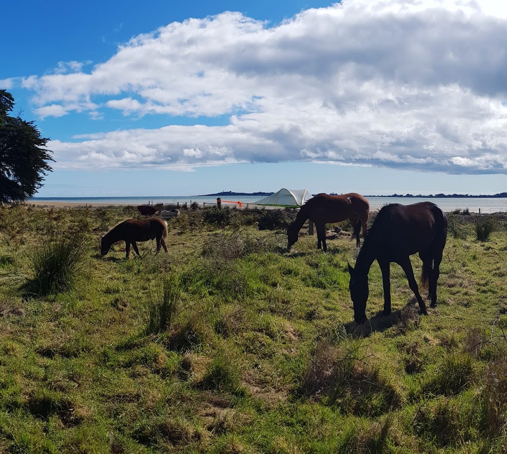 Zero Hoof Print - horse cafe & camping | cafe | 145A Foreshore Rd, Kelso TAS 7270, Australia | 0401717622 OR +61 401 717 622