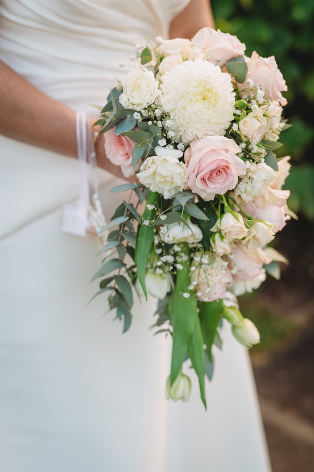 Sweet Country Blooms | 62 Ridolfis Rd, Farleigh QLD 4740, Australia | Phone: 0457 518 504