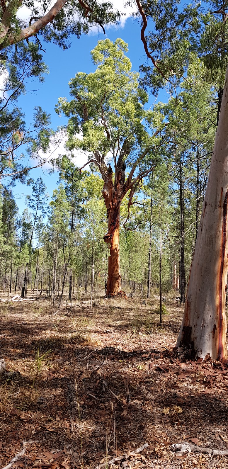 Inverary Homestead | Sandy Trail, Yetman NSW 2410, Australia | Phone: 1300 072 757