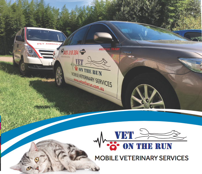 Vet On The Run | veterinary care | shop 3/6 Burroway Rd, Wentworth Point NSW 2127, Australia | 0439318384 OR +61 439 318 384