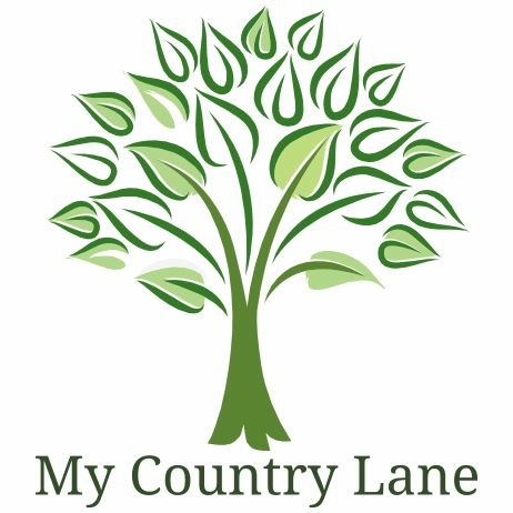 My Country Lane | cafe | 28 Yaldwyn St, Taroom QLD 4420, Australia | 0409841266 OR +61 409 841 266