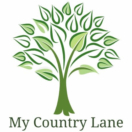 My Country Lane | 28 Yaldwyn St, Taroom QLD 4420, Australia | Phone: 0409 841 266