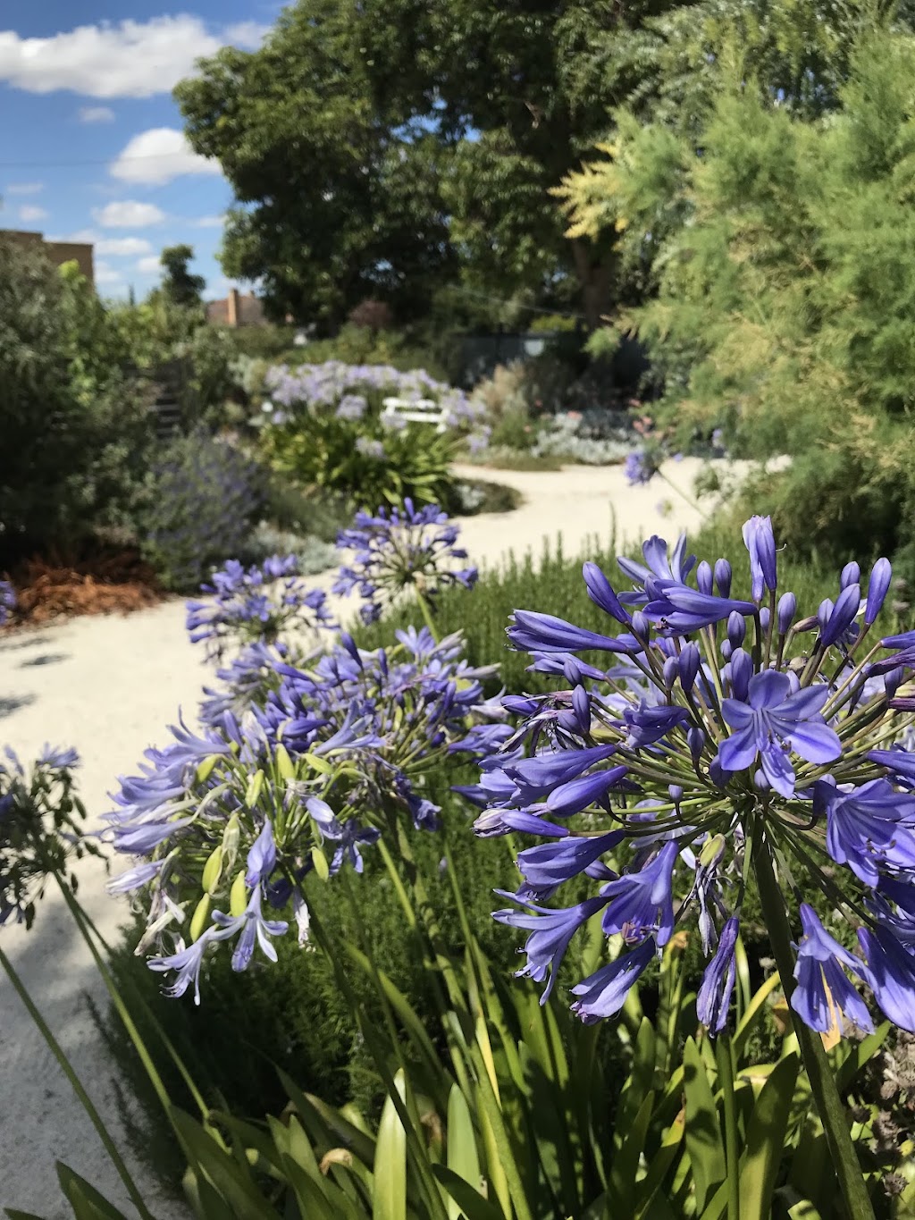Maryborough Butter Factory and Gardens | 165 Railway St, Maryborough VIC 3465, Australia | Phone: 0433 111 068