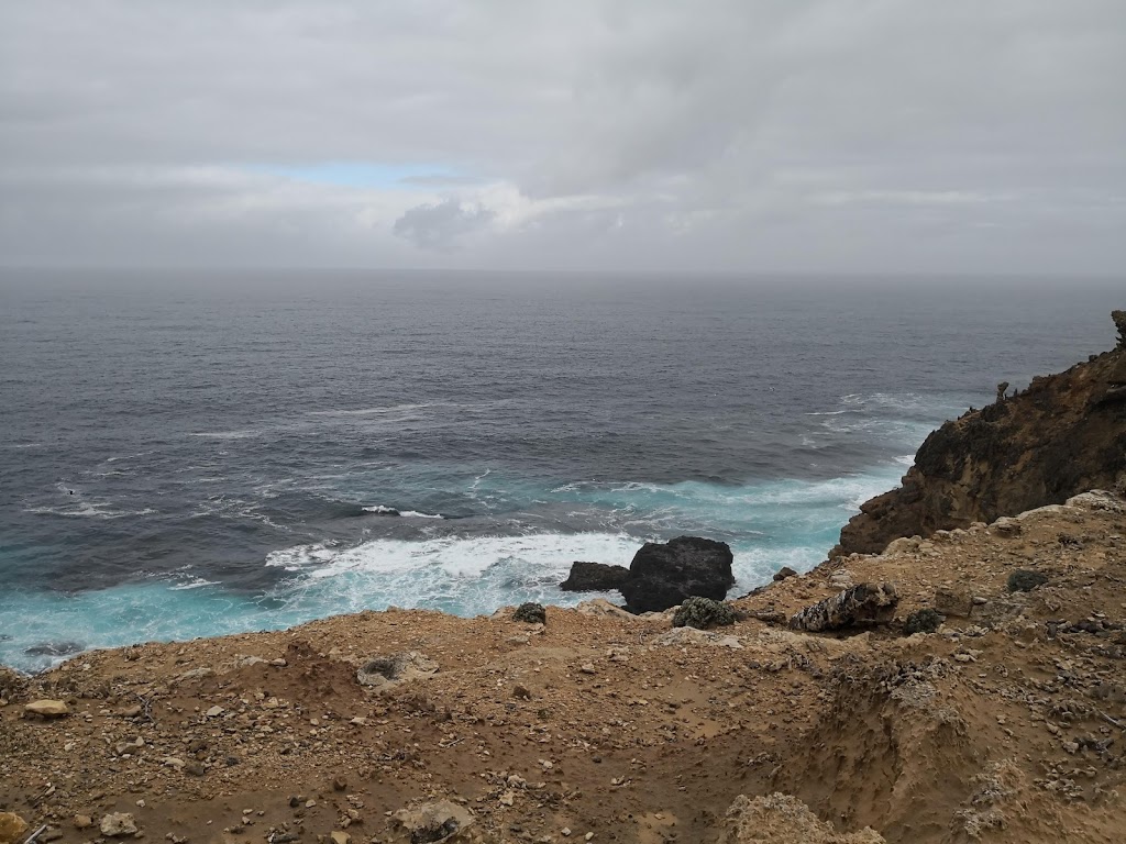 Cape Nelson State Park | park | Cape Nelson, Cape Nelson Rd, Portland West VIC 3305, Australia | 131963 OR +61 131963