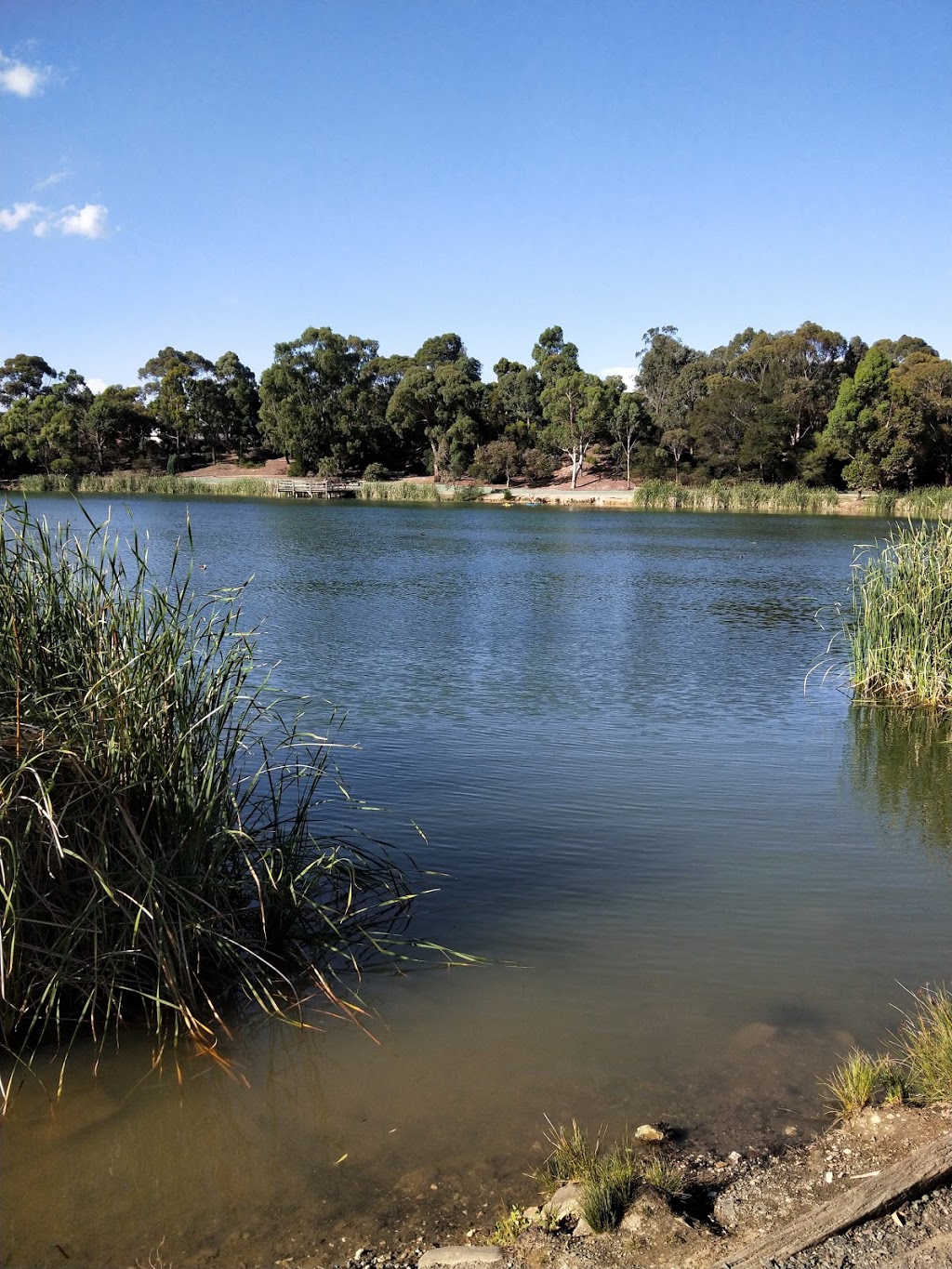 Lake Esmond | park | 233 Larter St, Golden Point VIC 3350, Australia