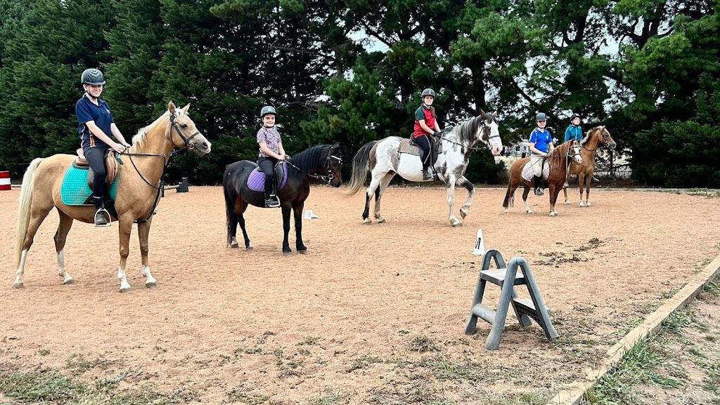 Ace Equestrian | 750 Anakie Rd, Lovely Banks VIC 3213, Australia | Phone: 0436 314 006