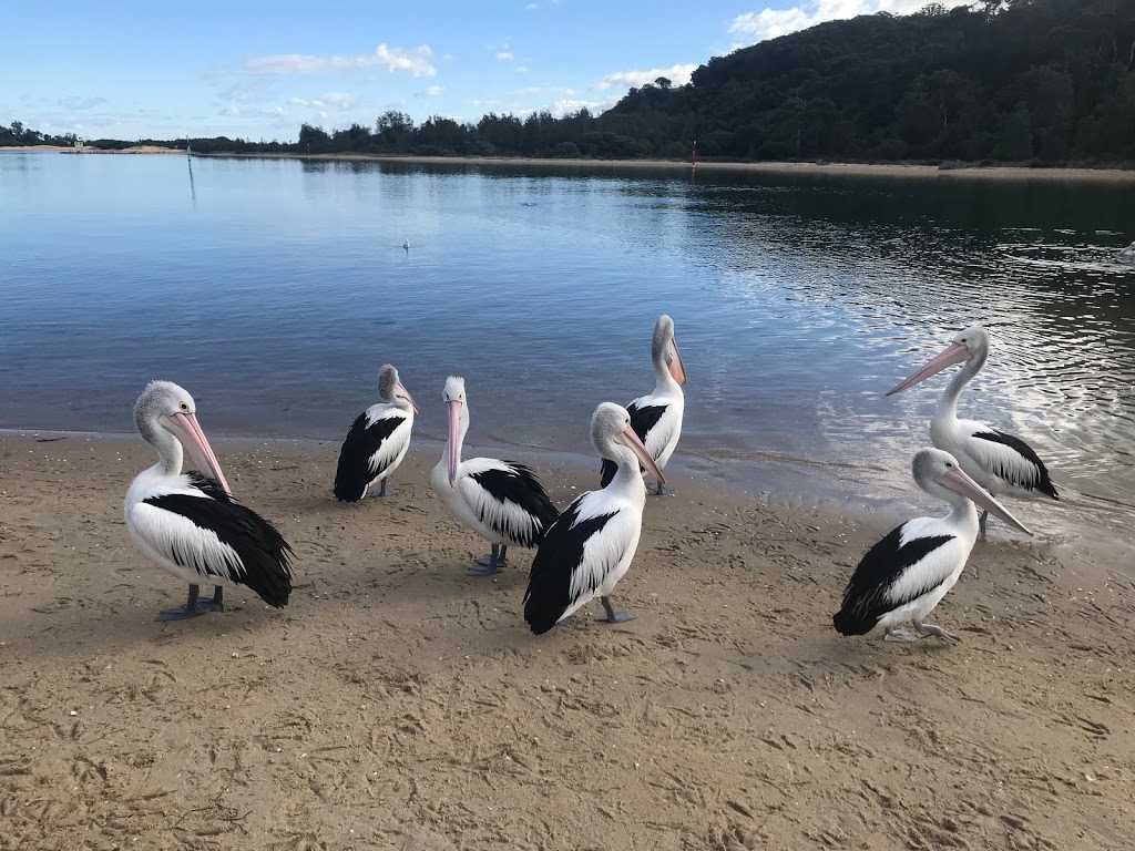 Lakes Mini Bus Charter & Tours | Lyrebird Ct, Lakes Entrance VIC 3909, Australia | Phone: 0499 109 309