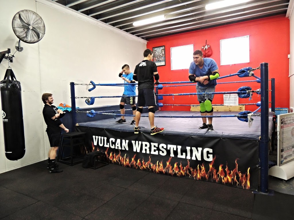 Vulcans Pro Wrestling School | 800-812 Old Illawarra Rd, Menai NSW 2234, Australia | Phone: (02) 9541 4284