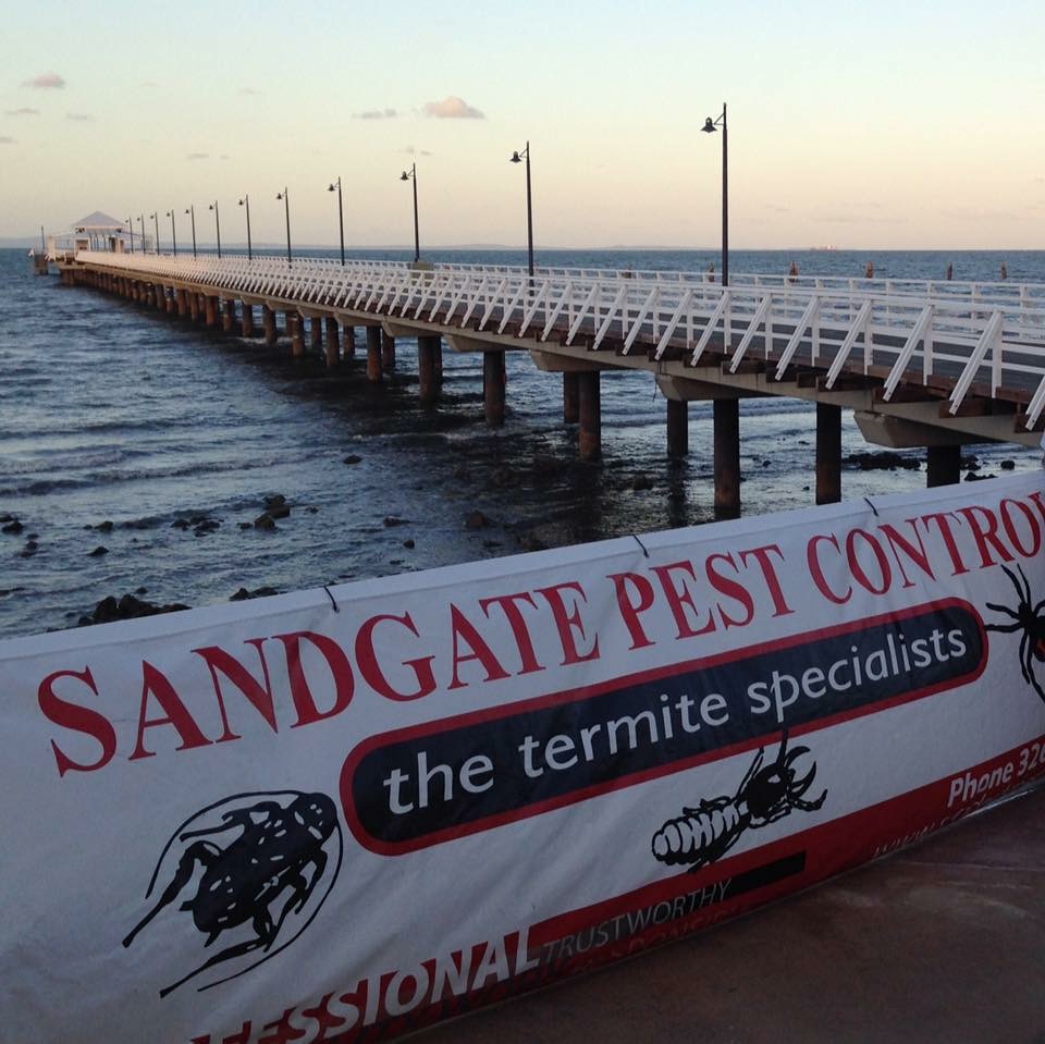Sandgate Pest Control | home goods store | 210 Brighton Terrace, Brighton QLD 4017, Australia | 0732696198 OR +61 7 3269 6198