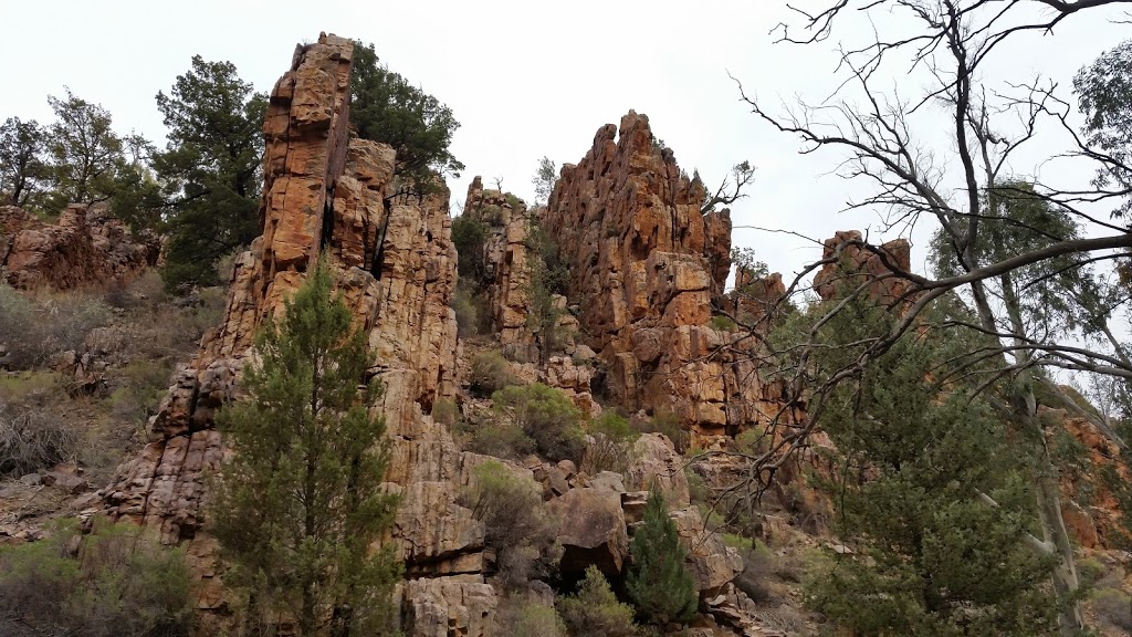 Warren Gorge | campground | Unnamed Rd Yarrah SA 5433, Yarrah SA 5433, Australia