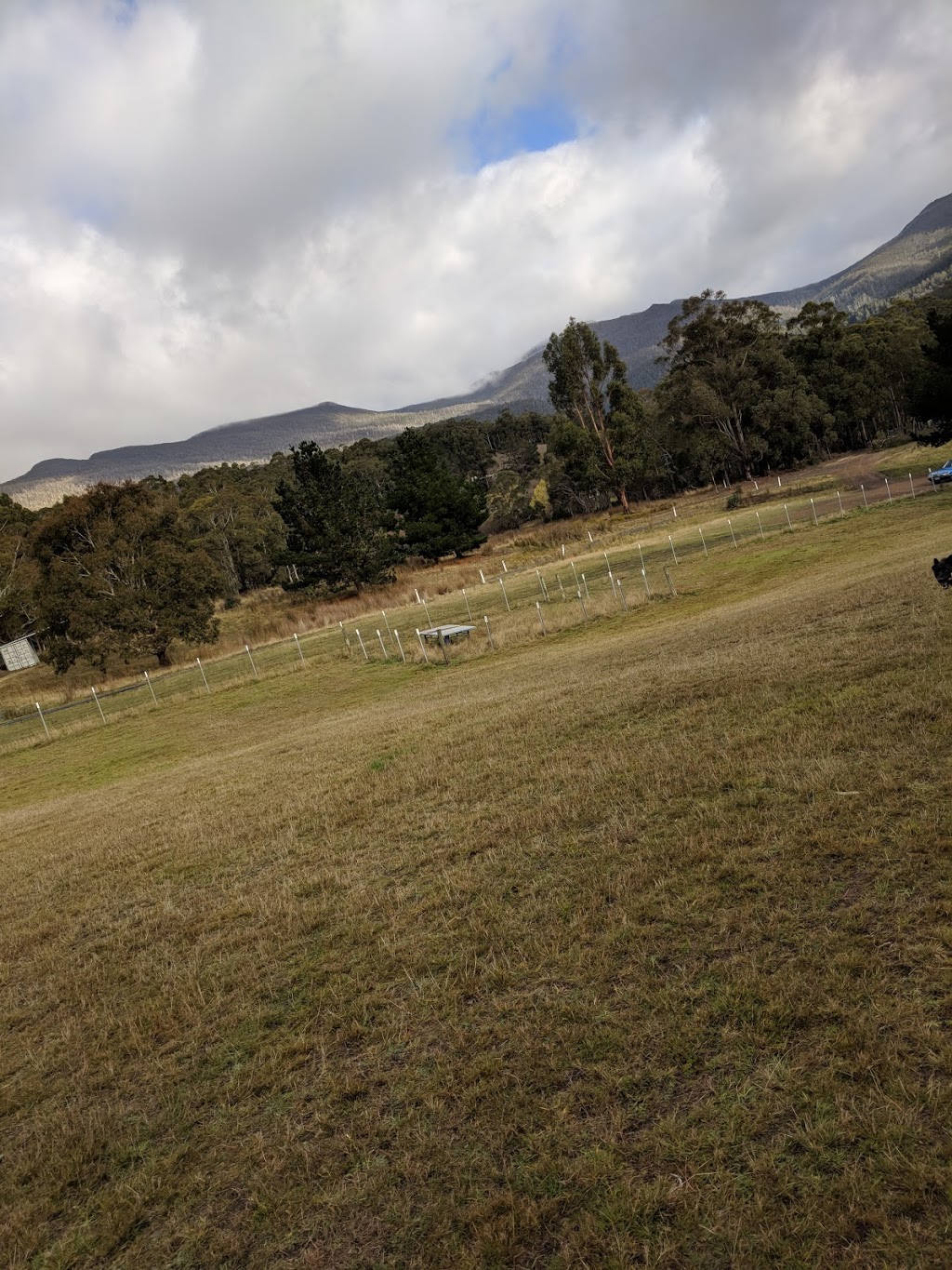 Collinsvale Dog Park | park | 14 Hall Rd, Collinsvale TAS 7012, Australia