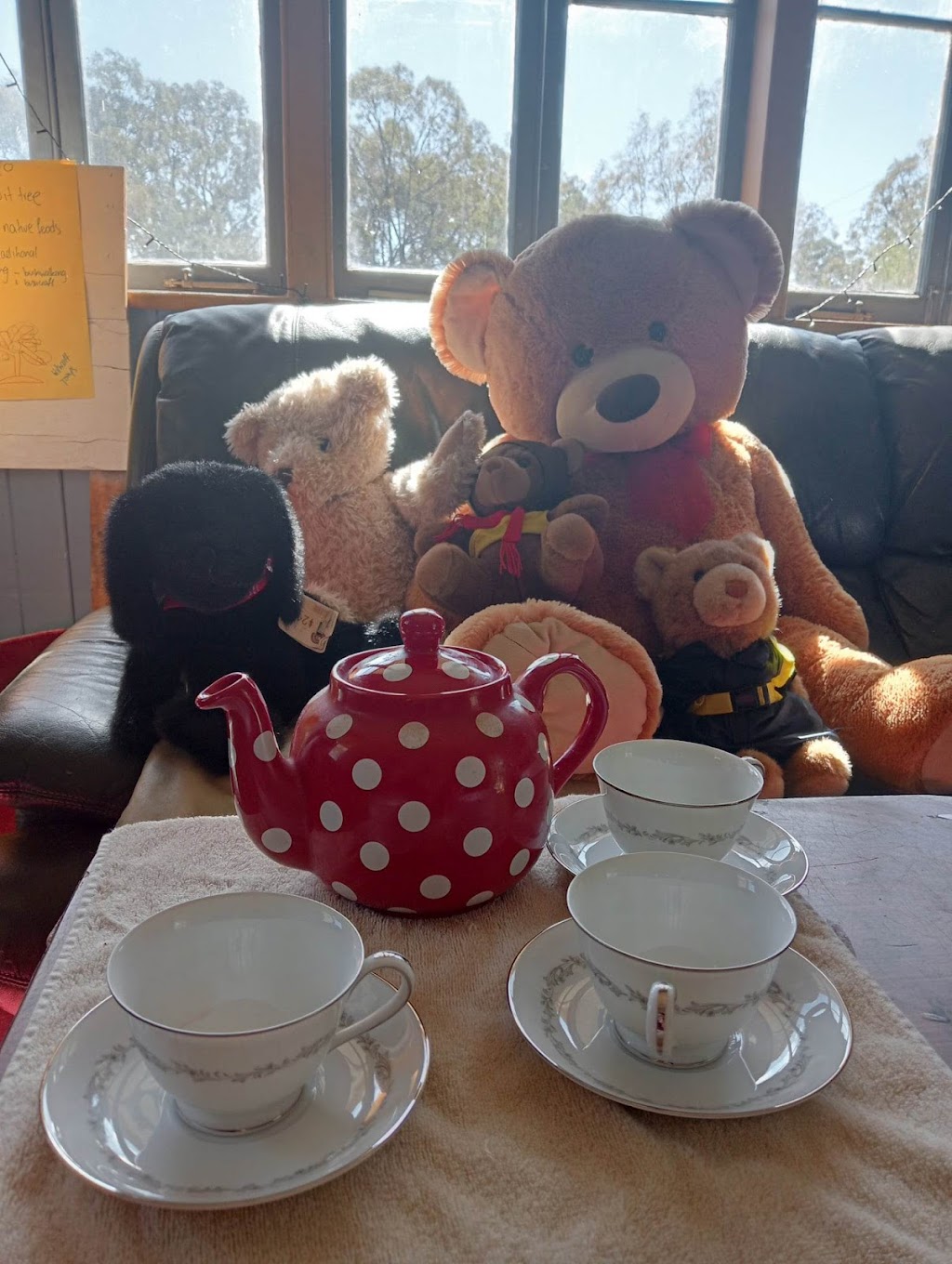 Student Care Welfare Queensland Inc | 159 Roches Rd, Withcott QLD 4122, Australia | Phone: 0402 517 523