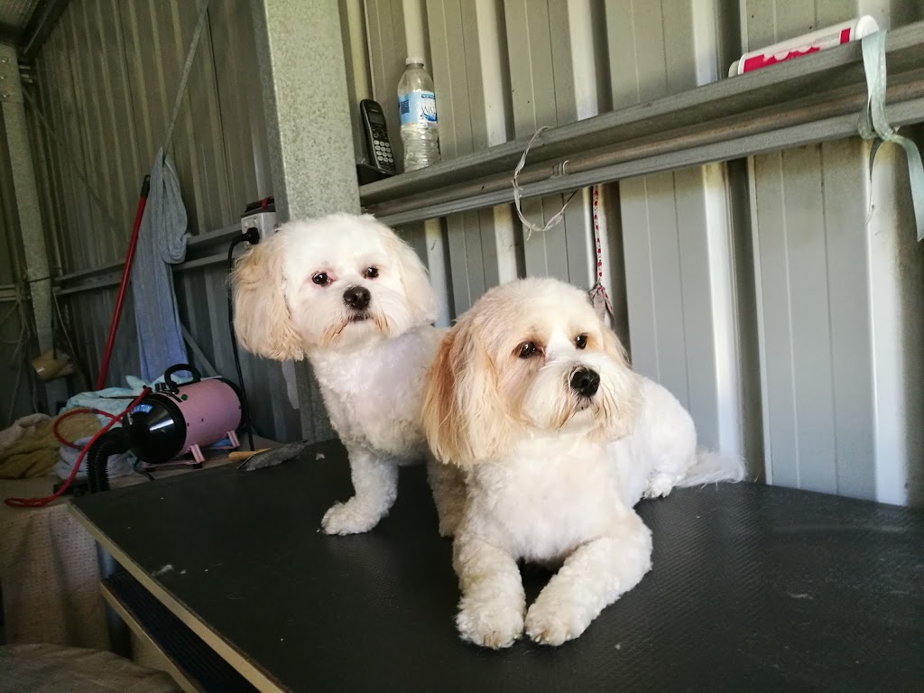 Hairy Dog Grooming | 48 Brodzig Rd, Chuwar QLD 4306, Australia | Phone: 0490 832 301