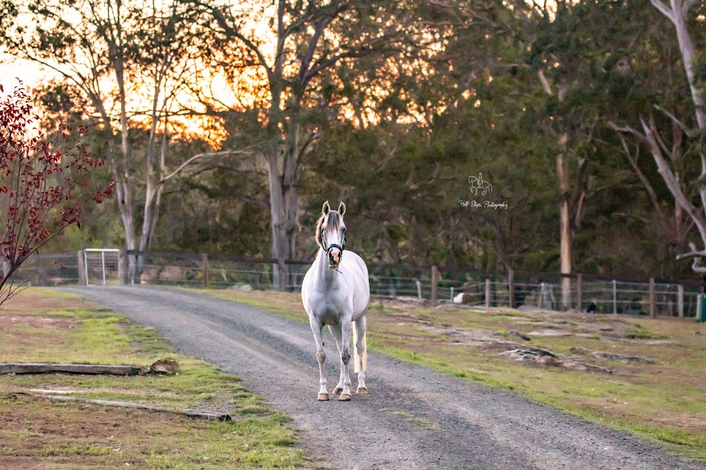 Half Steps Photography | store | 4 Princes Rd, Schofields NSW 2762, Australia