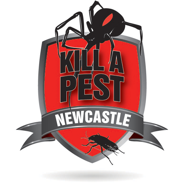 Newcastle Kill A Pest - Pest Control & Termite Inspections | home goods store | 22 French Rd, Wangi Wangi NSW 2267, Australia | 0249112366 OR +61 2 4911 2366