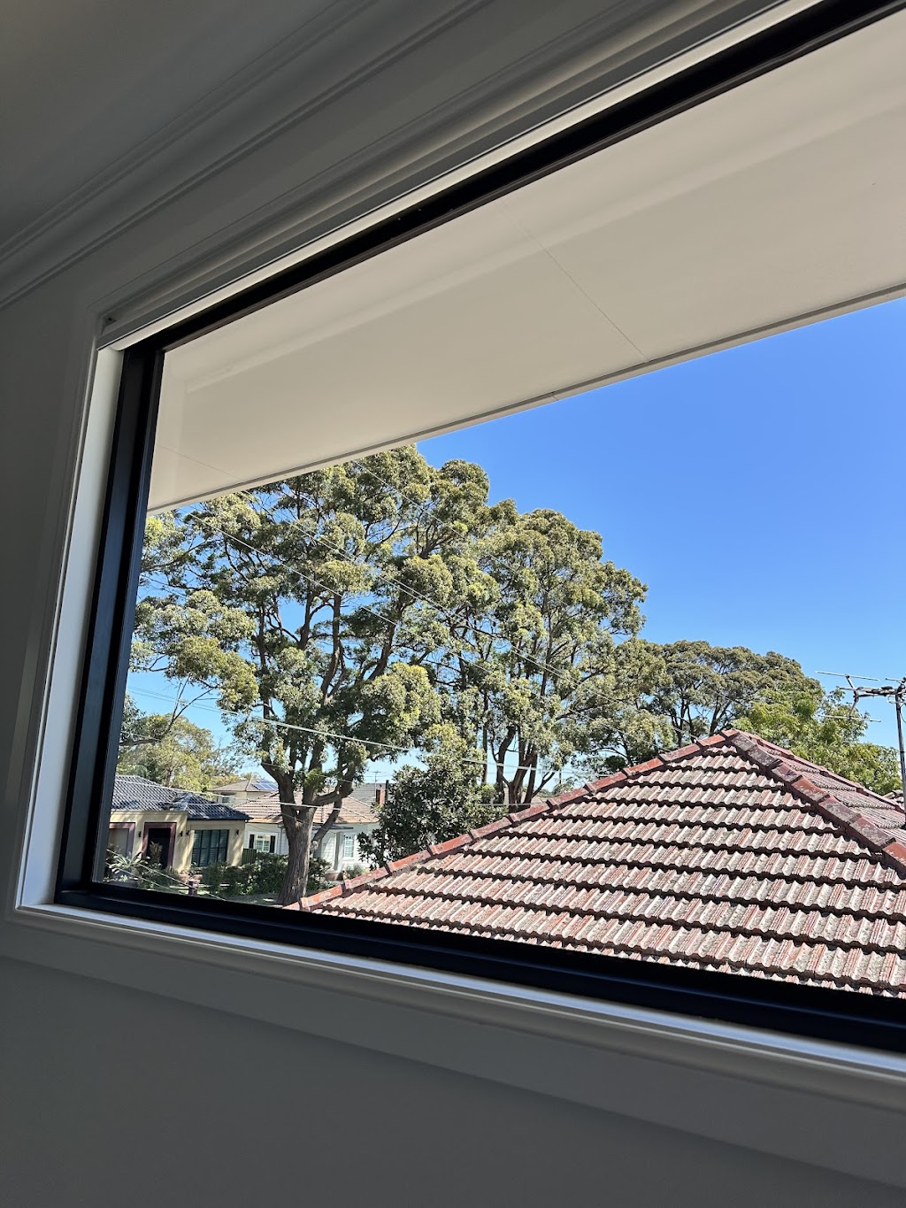 Sydney Cleaning Specialists | 27 Crump St, Mortdale NSW 2223, Australia | Phone: 0478 020 422