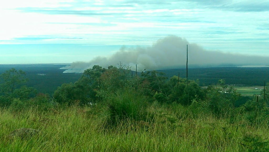 Beerwah State Forest | Forestry Rd, Landsborough QLD 4550, Australia