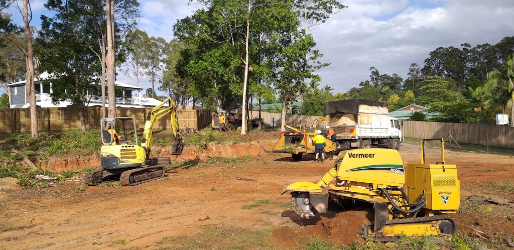 Brisbane Tree Lopping | 66 Mackie Rd, Narangba QLD 4504, Australia | Phone: 0401 199 841