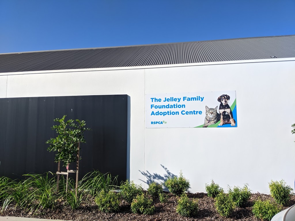 RSPCA Toowoomba Animal Care Centre |  | Lot 75 Airport Dr, Wellcamp QLD 4350, Australia | 0746341304 OR +61 7 4634 1304