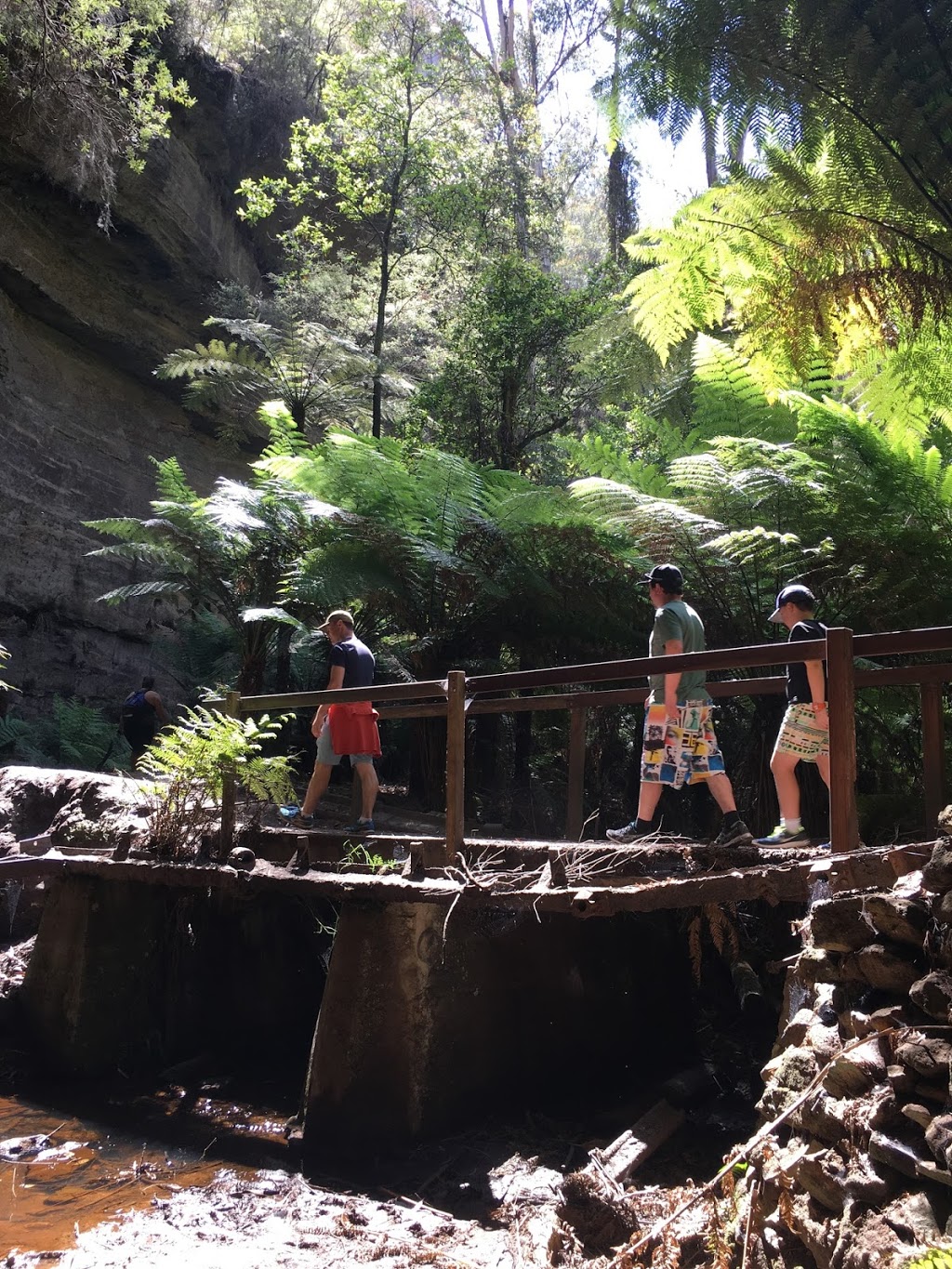 Wolgan Valley Eco Tours |  | 1499 Wolgan Rd, Wolgan Valley NSW 2790, Australia | 0439464660 OR +61 439 464 660