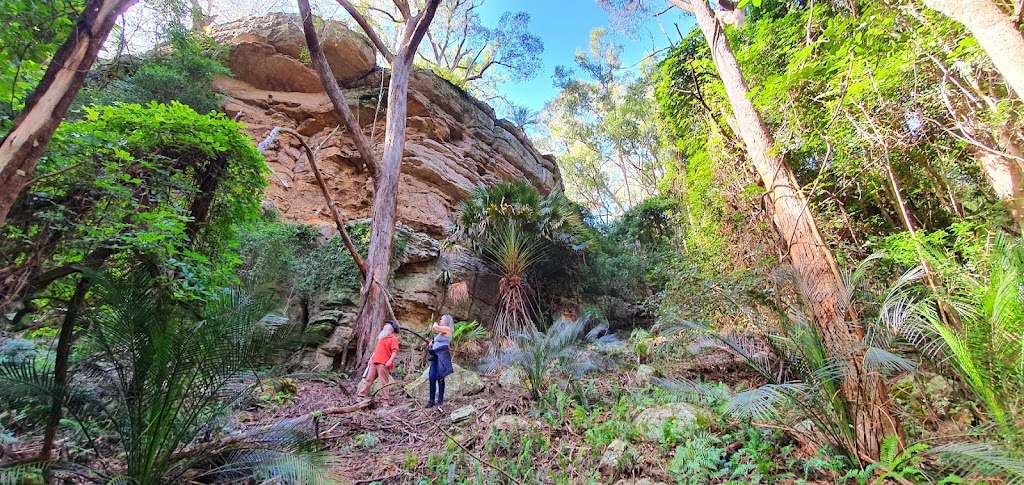 Chakola | 230B Mount Scanzi Rd, Kangaroo Valley NSW 2577, Australia | Phone: 0402 315 122