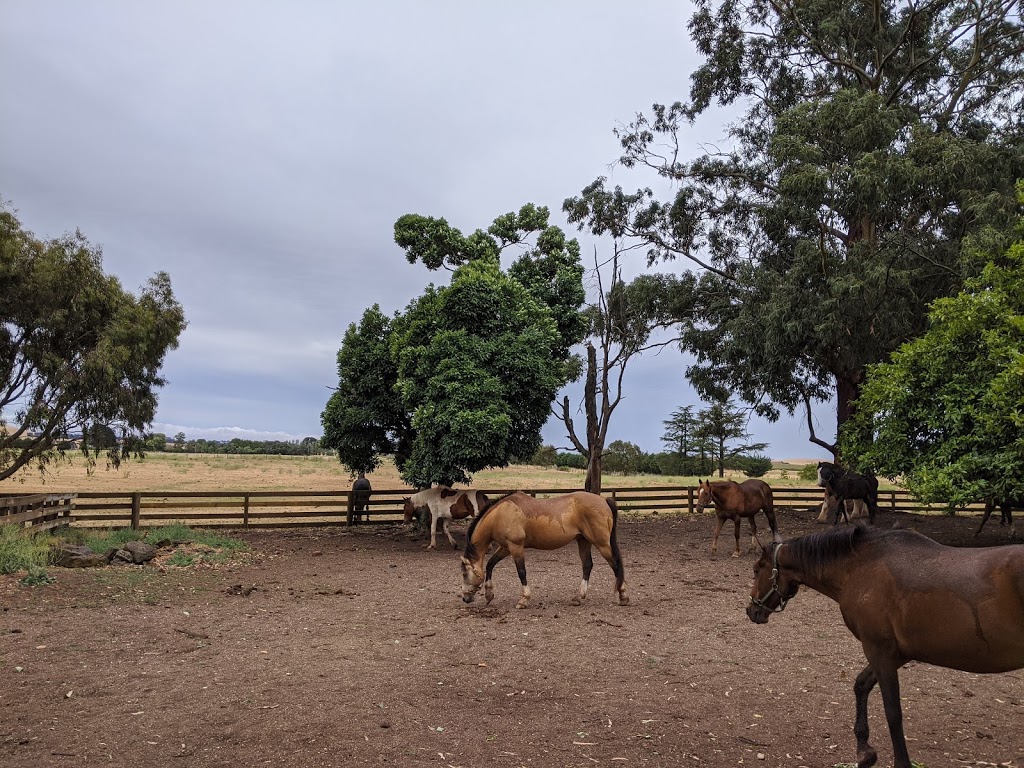 Quirindi Stables |  | 60 Telegraph Rd, Newlyn North VIC 3364, Australia | 0408457266 OR +61 408 457 266