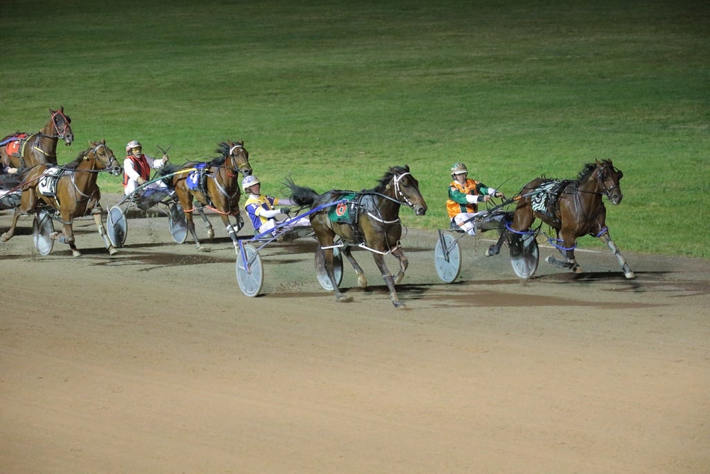 Harness Racing ACT |  | Plover Grandstand, Exhibition Park in Canberra, 10 Flemington Rd, Mitchell ACT 2911, Australia | 0262413911 OR +61 2 6241 3911