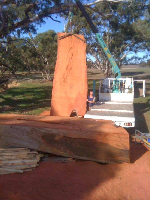 Tree Walkers | park | 37 Campbell Parade, Cranbourne VIC 3977, Australia | 1300678733 OR +61 1300 678 733