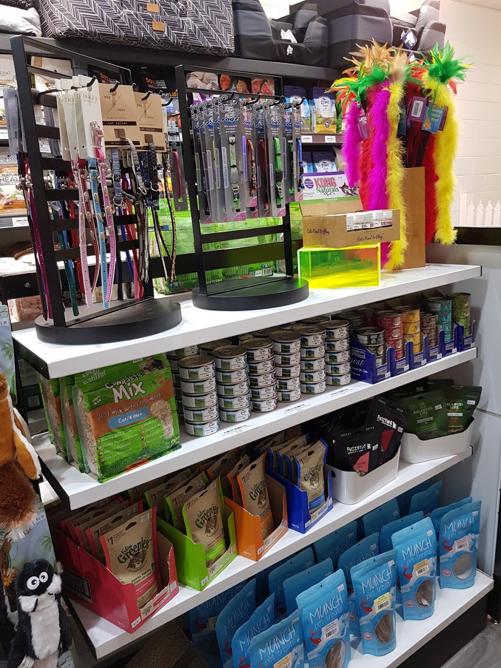 Belvederes Pet Supplies | 93 Upper Heidelberg Rd, Ivanhoe VIC 3079, Australia | Phone: (03) 9499 4439