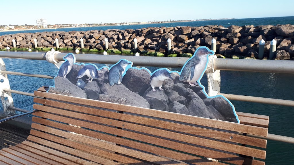 St. Kilda Pier Penguin Colony | Victoria, Australia