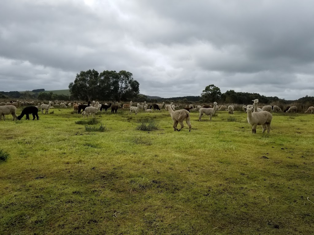 Ambersun Alpacas |  | 2721 Victor Harbor Rd, Mount Compass SA 5210, Australia | 0417826762 OR +61 417 826 762