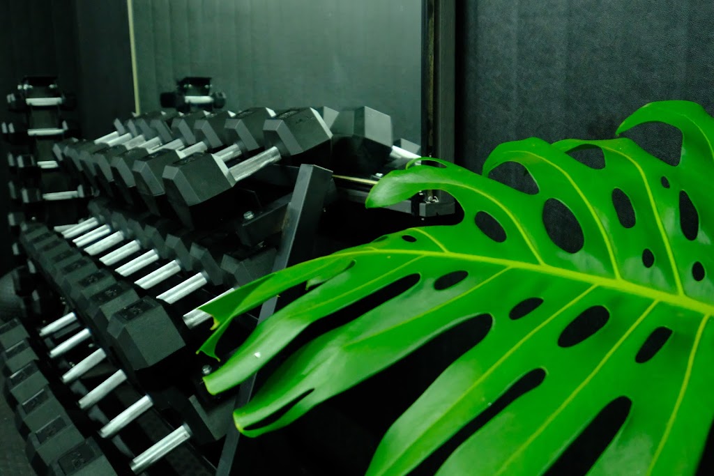 Evolution Active | 6 Tanner La, Tyagarah NSW 2481, Australia | Phone: 0481 454 015