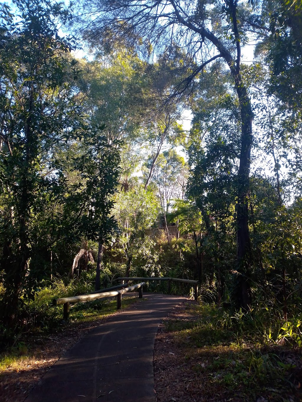 Springwood Park | park | Cinderella Dr, Springwood QLD 4127, Australia | 1300156426 OR +61 1300 156 426