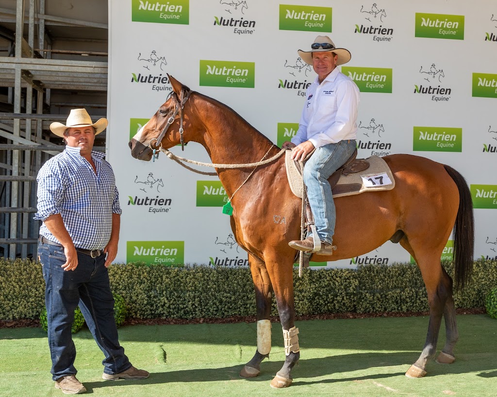 Nutrien Equine | 133 Gunnedah Rd, Taminda NSW 2340, Australia | Phone: 0428 658 395