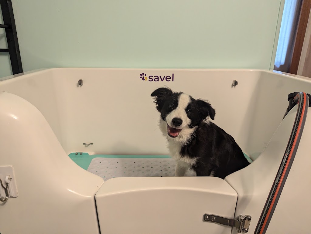 Billies Pet Spa | 535 Little Yarra Rd, Gladysdale VIC 3797, Australia | Phone: 0428 299 555