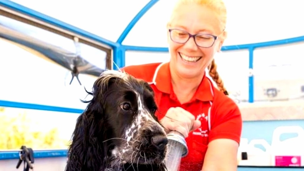 Aussie Pooch Mobile Dog Wash & Grooming Butler | 26 Bronze St, Eglinton WA 6034, Australia | Phone: 1300 369 369