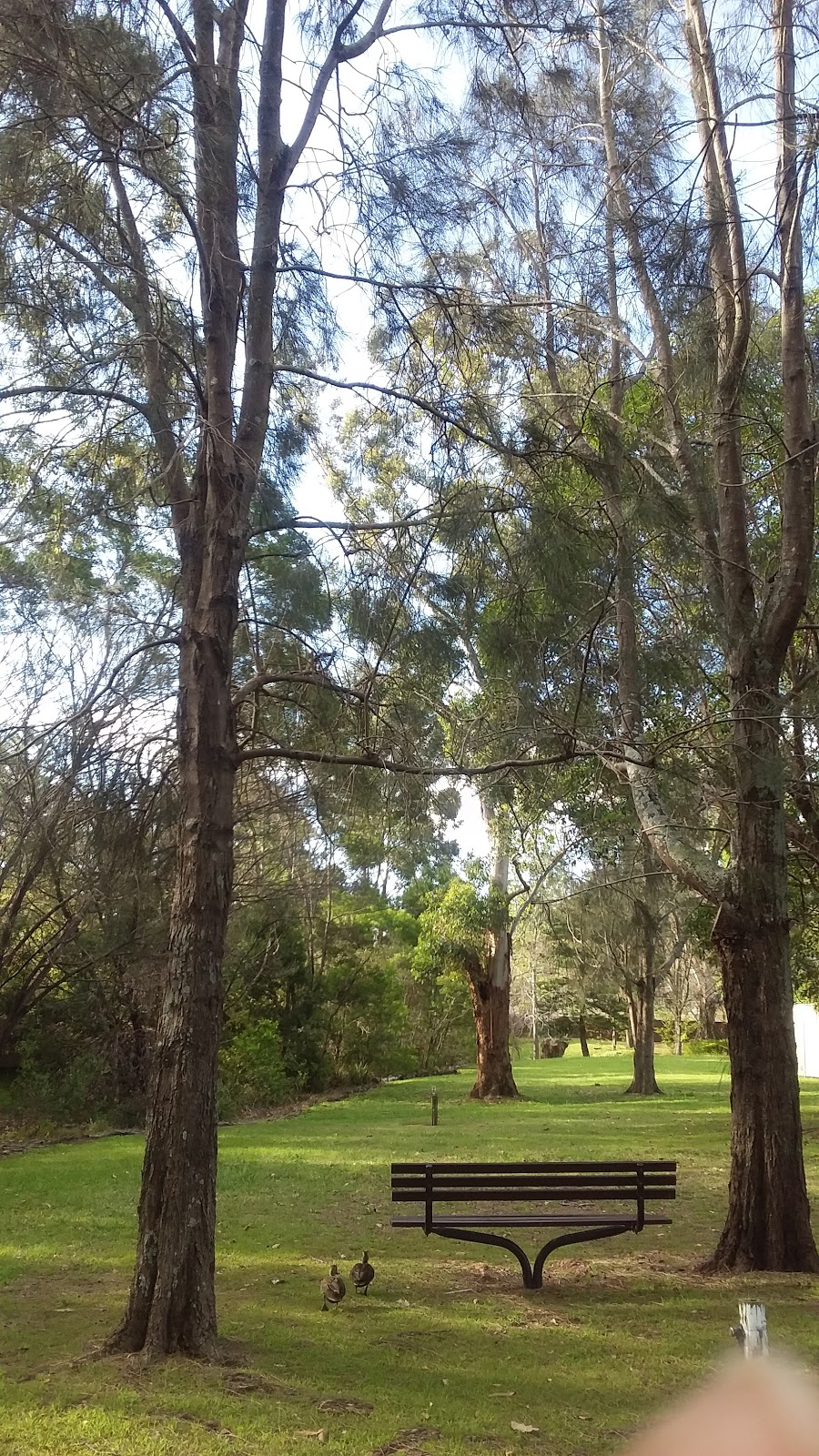 Maze Park | park | West Ryde NSW 2114, Australia