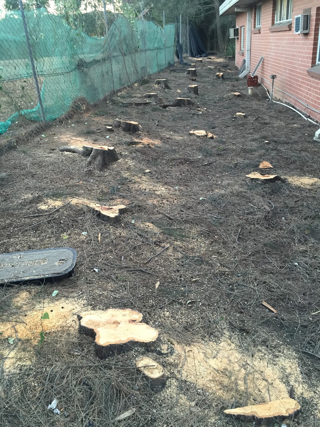 Stump Removal Sydney - Stump Grinding | 13 Antares Pl, Cranebrook NSW 2749, Australia | Phone: 0402 887 920