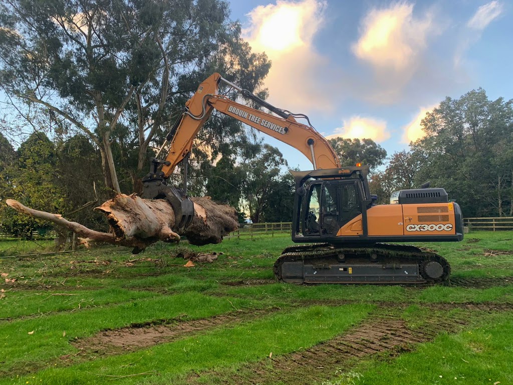 Drouin Tree Services | general contractor | 97 Roberts Ct, Drouin VIC 3818, Australia | 0419592757 OR +61 419 592 757