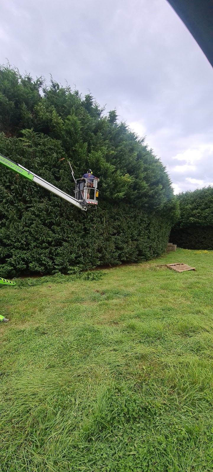 SAGE CUT Treeworks | 3C Biggera St, Braemar NSW 2575, Australia | Phone: 0416 177 223