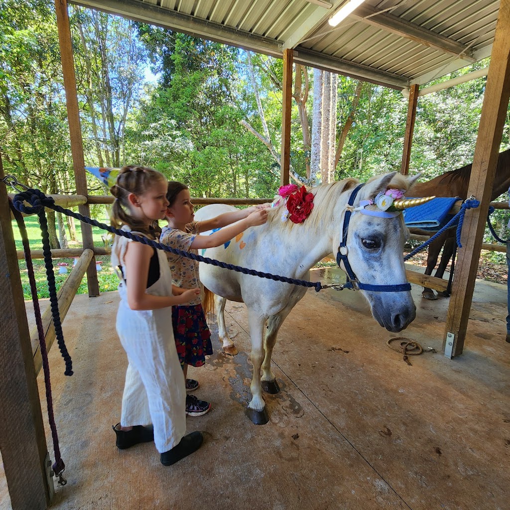 Hinterland Horses Byron Bay | 22 Blackbean Ln, Federal NSW 2481, Australia | Phone: 0407 813 321