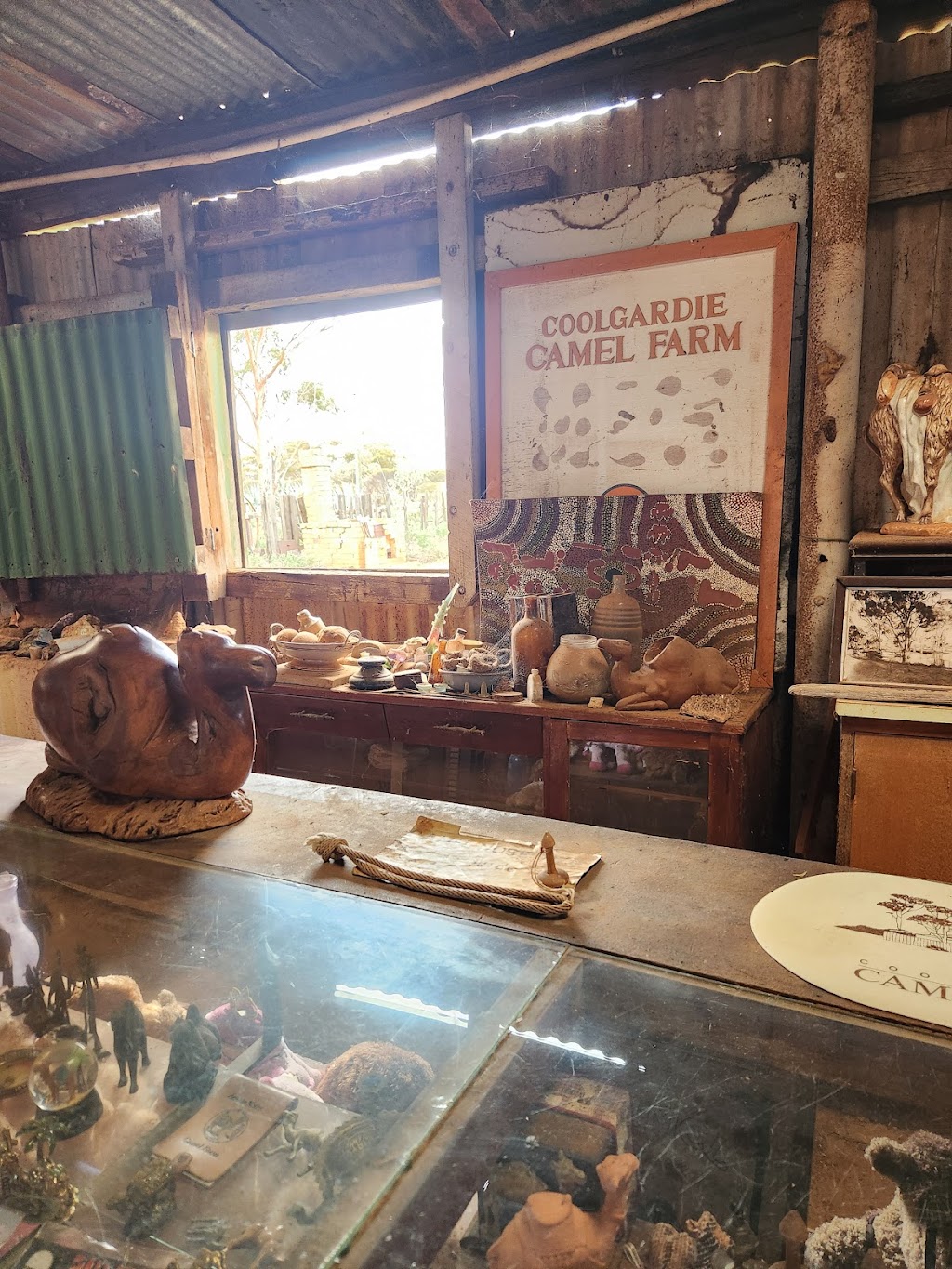 Coolgardie Camel Farm | 24RG+WP, Coolgardie WA 6429, Australia | Phone: (08) 9026 6159