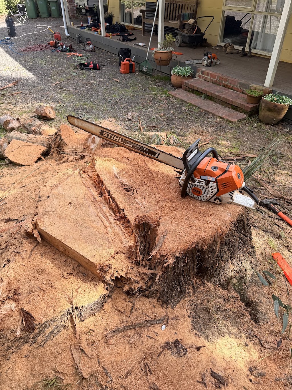 Davies Arboriculture | 135 Emerald-Monbulk Rd, Emerald VIC 3782, Australia | Phone: 0407 118 278
