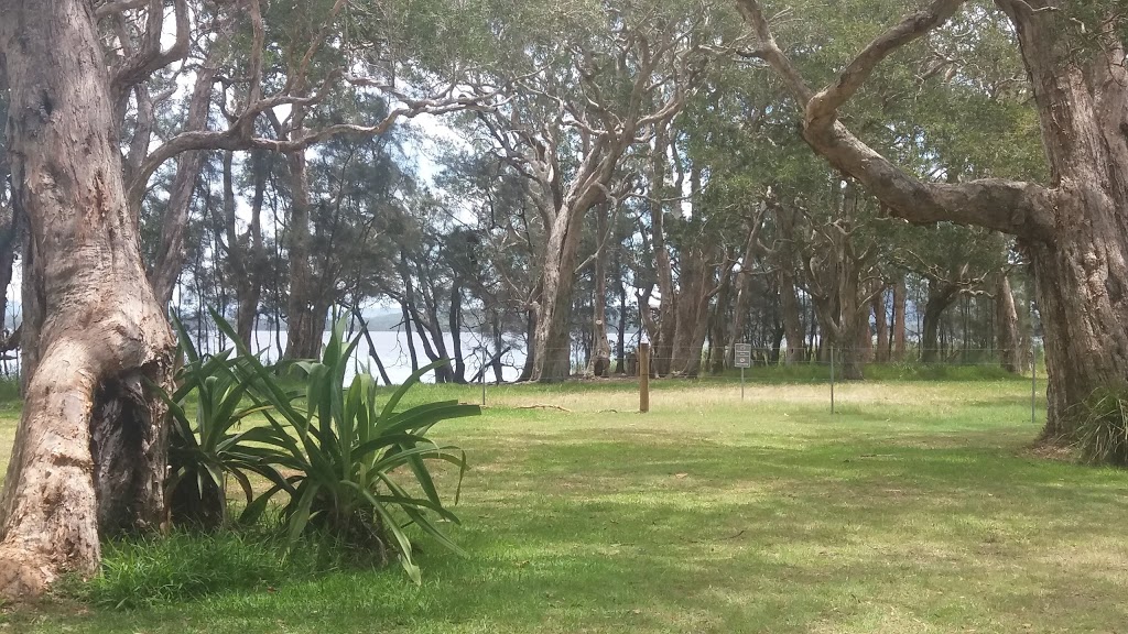 White Tree Bay campground and picnic area | Mungo Brush Road, Mungo Brush NSW 2423, Australia | Phone: (02) 6591 0300